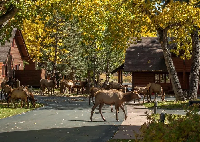 Rams Horn Village Resort